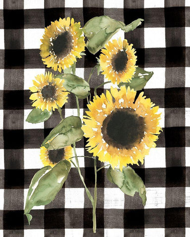 Buffalo Check Sunflower I White Modern Wood Framed Art Print with Double Matting by Goldberger, Jennifer