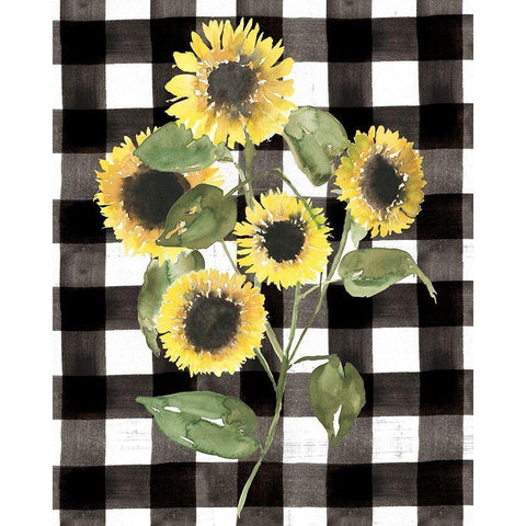 Buffalo Check Sunflower II Black Modern Wood Framed Art Print with Double Matting by Goldberger, Jennifer