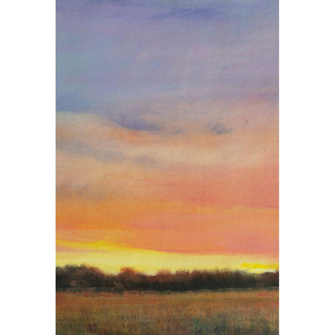 Daylight Fades II White Modern Wood Framed Art Print by OToole, Tim