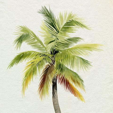 Coco Watercolor Palm I White Modern Wood Framed Art Print with Double Matting by Popp, Grace