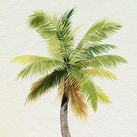 Coco Watercolor Palm II White Modern Wood Framed Art Print by Popp, Grace