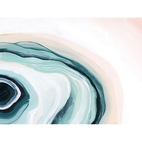 Half Shell IV Black Modern Wood Framed Art Print with Double Matting by Popp, Grace