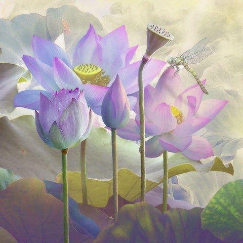 Lotus Sanctuary I White Modern Wood Framed Art Print by Hunziker, Steve