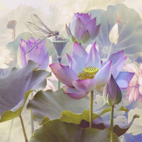 Lotus Sanctuary II Gold Ornate Wood Framed Art Print with Double Matting by Hunziker, Steve