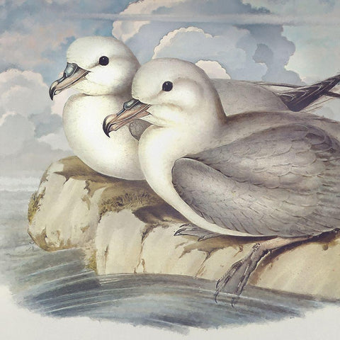 Surf and Sand I Black Ornate Wood Framed Art Print with Double Matting by Hunziker, Steve