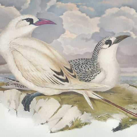 Surf and Sand II Black Ornate Wood Framed Art Print with Double Matting by Hunziker, Steve