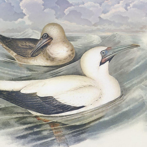 Surf and Sand III Gold Ornate Wood Framed Art Print with Double Matting by Hunziker, Steve