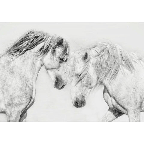 Equine Portrait I Black Modern Wood Framed Art Print with Double Matting by PHBurchett