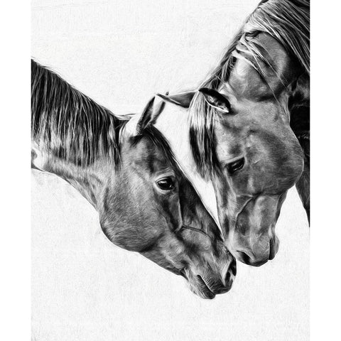 Equine Portrait VI Black Modern Wood Framed Art Print by PHBurchett