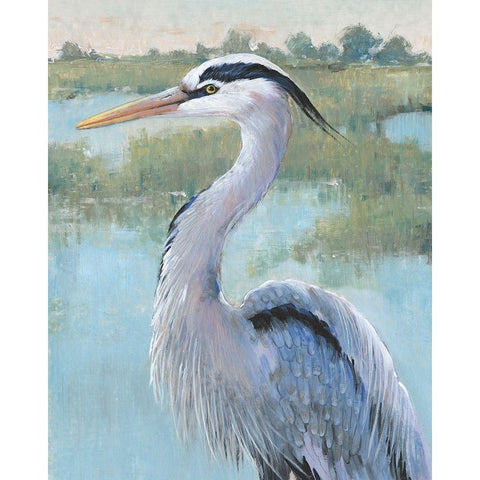 Blue Heron Portrait I Black Modern Wood Framed Art Print with Double Matting by OToole, Tim