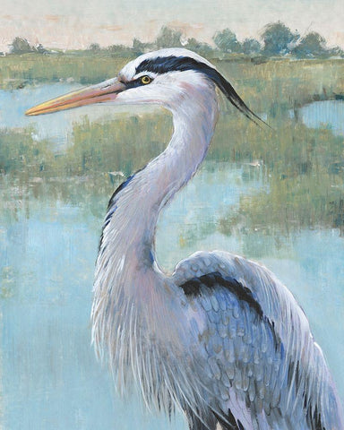 Blue Heron Portrait I Black Ornate Wood Framed Art Print with Double Matting by OToole, Tim