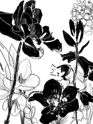 Monotype Garden II White Modern Wood Framed Art Print with Double Matting by Vess, June Erica