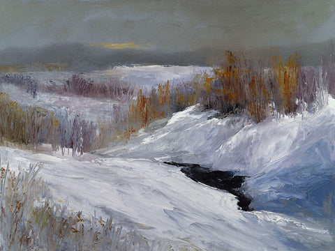 Fresh Snow Black Ornate Wood Framed Art Print with Double Matting by Finch, Sheila