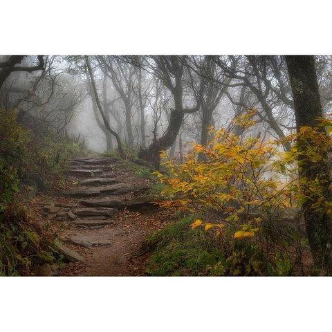 Stone Steps Black Modern Wood Framed Art Print by Head, Danny