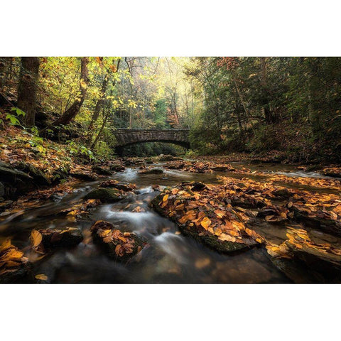 Stone Bridge Black Modern Wood Framed Art Print by Head, Danny