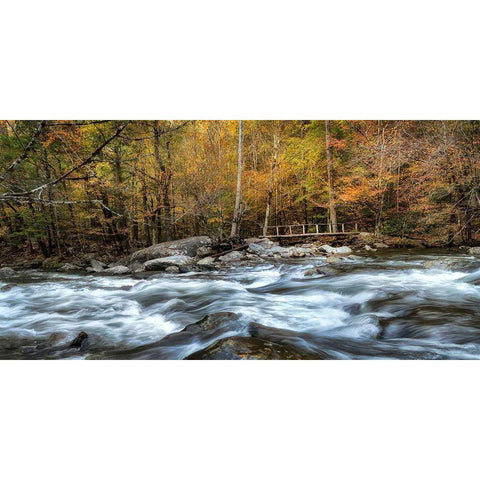 The Foot Bridge Black Modern Wood Framed Art Print with Double Matting by Head, Danny