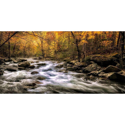Autumn Bliss White Modern Wood Framed Art Print by Head, Danny