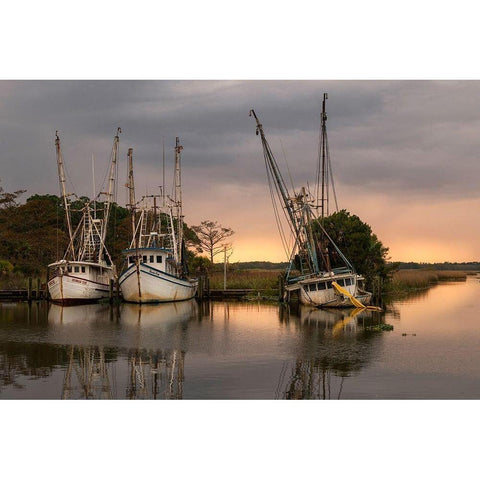 Trawlers Black Modern Wood Framed Art Print by Head, Danny