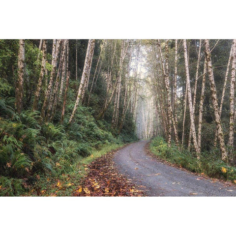 Mountain Drive Black Modern Wood Framed Art Print with Double Matting by Head, Danny