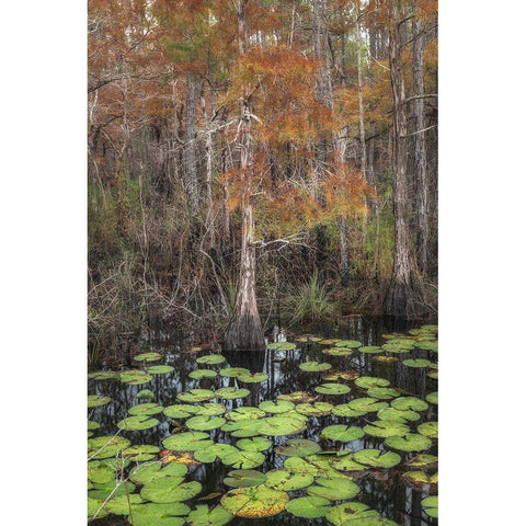 Black Water I Black Modern Wood Framed Art Print with Double Matting by Head, Danny