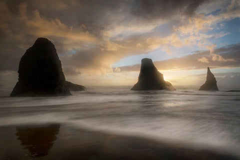 Sea Stack and Surf Black Ornate Wood Framed Art Print with Double Matting by Head, Danny