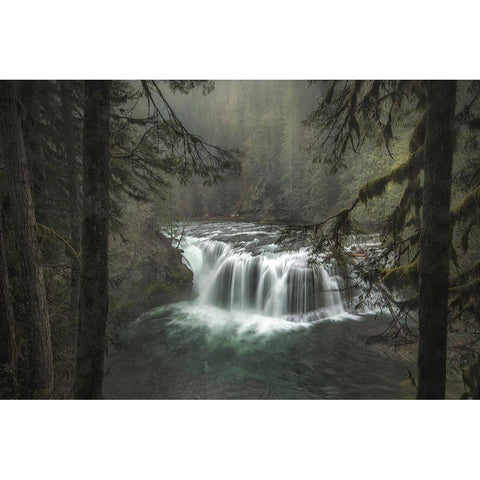 Misty Gold Ornate Wood Framed Art Print with Double Matting by Head, Danny