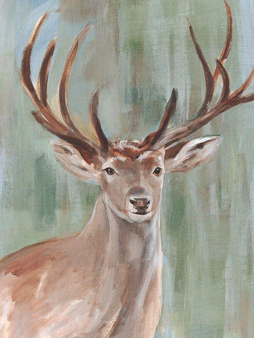 Roaming Buck II Black Ornate Wood Framed Art Print with Double Matting by Warren, Annie