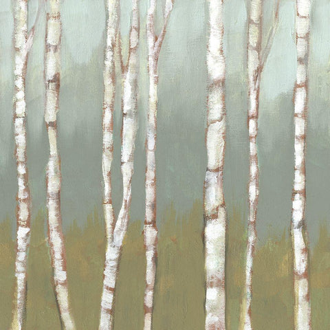 Simple Birchline I Black Ornate Wood Framed Art Print with Double Matting by Goldberger, Jennifer