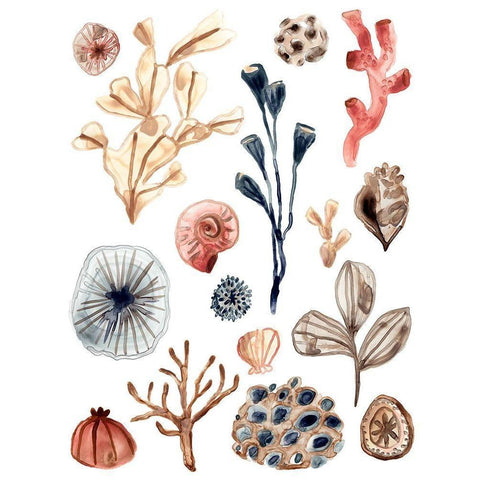 Ocean Assortment I White Modern Wood Framed Art Print by Vess, June Erica