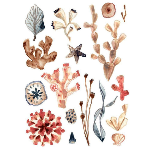 Ocean Assortment II Gold Ornate Wood Framed Art Print with Double Matting by Vess, June Erica