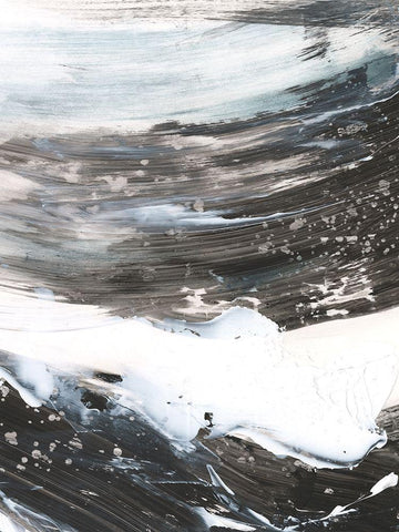 Blizzard Conditions I Black Ornate Wood Framed Art Print with Double Matting by Harper, Ethan