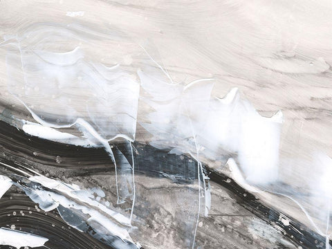 Blizzard Conditions III Black Ornate Wood Framed Art Print with Double Matting by Harper, Ethan