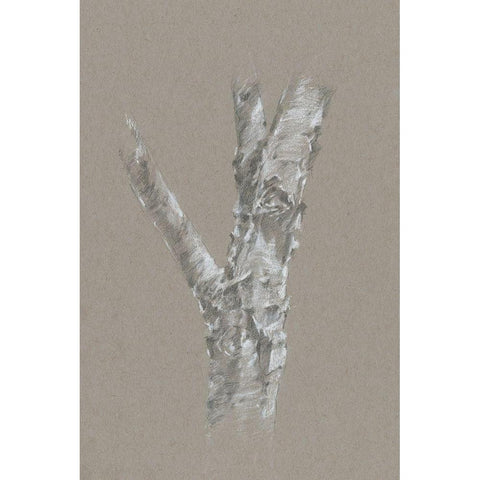 Chalk Birch Study II White Modern Wood Framed Art Print by Harper, Ethan