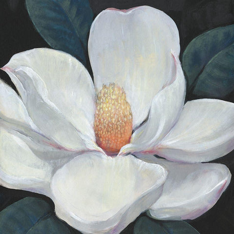 Blooming Magnolia I White Modern Wood Framed Art Print by OToole, Tim