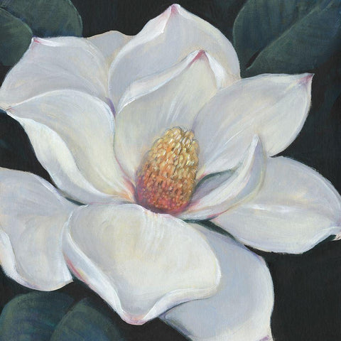 Blooming Magnolia II White Modern Wood Framed Art Print by OToole, Tim