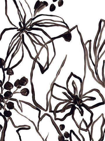 Tropical Outlines II Black Ornate Wood Framed Art Print with Double Matting by Vess, June Erica