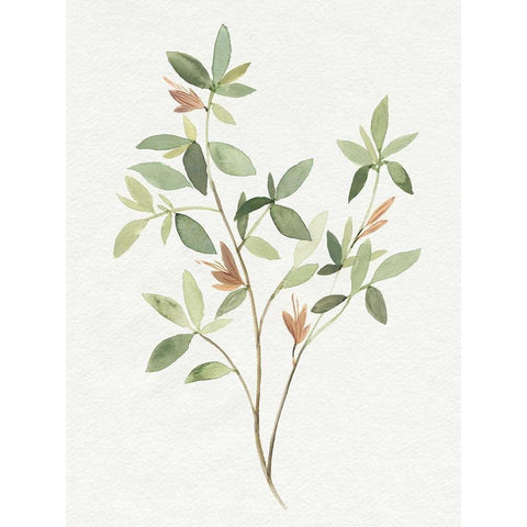 Single Sprig I White Modern Wood Framed Art Print by Warren, Annie