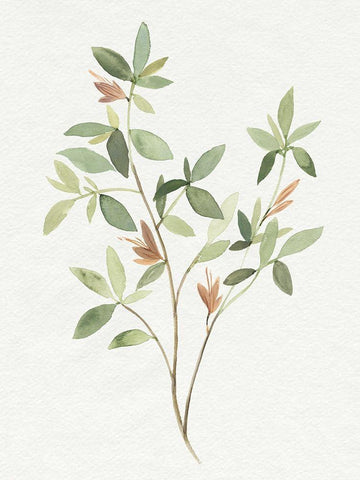 Single Sprig I White Modern Wood Framed Art Print with Double Matting by Warren, Annie