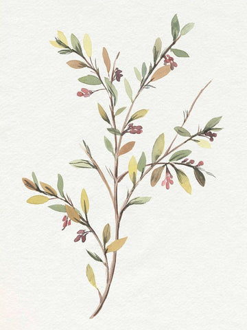 Single Sprig II White Modern Wood Framed Art Print with Double Matting by Warren, Annie