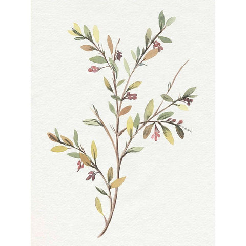 Single Sprig II White Modern Wood Framed Art Print by Warren, Annie