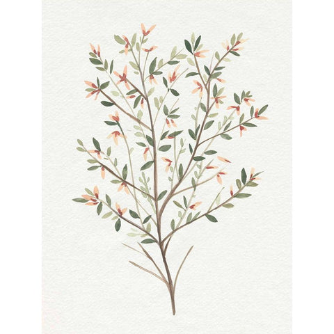 Single Sprig III Gold Ornate Wood Framed Art Print with Double Matting by Warren, Annie