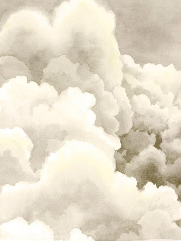 Storm Brew I White Modern Wood Framed Art Print with Double Matting by Popp, Grace