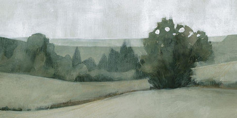 Soft Green Landscape II White Modern Wood Framed Art Print with Double Matting by Caroline, Emma