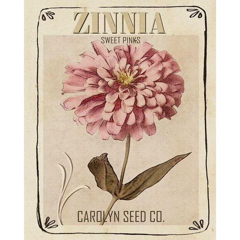 Vintage Seed Packets II Gold Ornate Wood Framed Art Print with Double Matting by Studio W