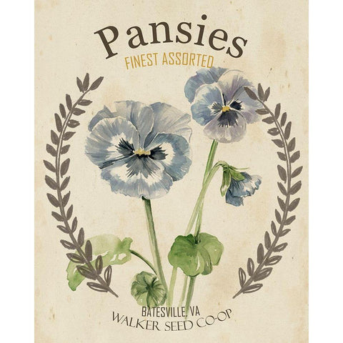 Vintage Seed Packets III White Modern Wood Framed Art Print by Studio W