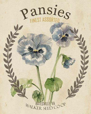 Vintage Seed Packets III White Modern Wood Framed Art Print with Double Matting by Studio W