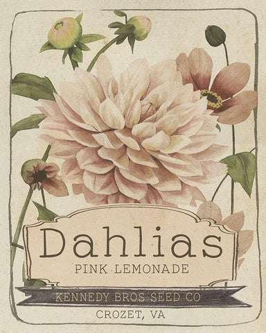 Vintage Seed Packets IV White Modern Wood Framed Art Print with Double Matting by Studio W