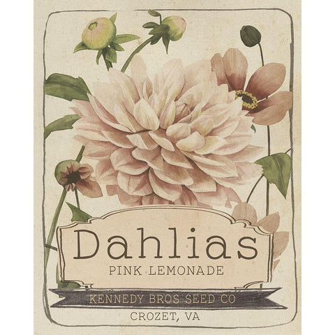 Vintage Seed Packets IV White Modern Wood Framed Art Print by Studio W