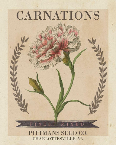 Vintage Seed Packets V Black Ornate Wood Framed Art Print with Double Matting by Studio W