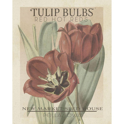 Vintage Seed Packets VI White Modern Wood Framed Art Print by Studio W